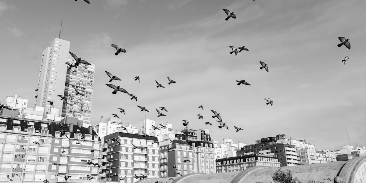 quadros de céu e nuvem
