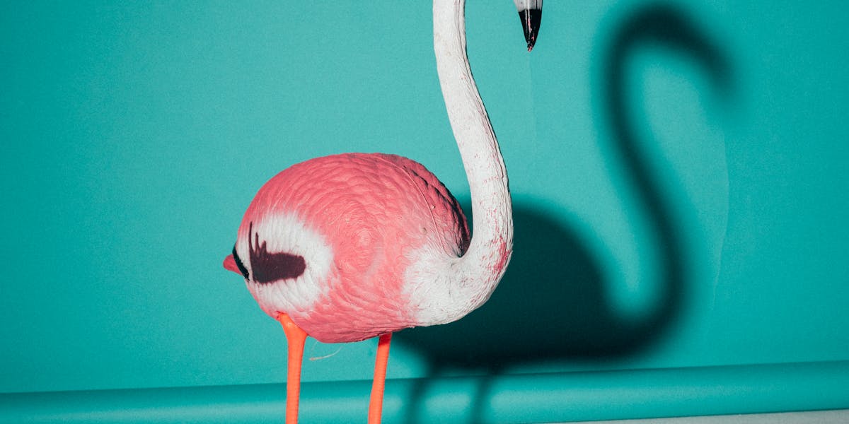 Quadro com Pássaros Tropicais: Cor e Vida